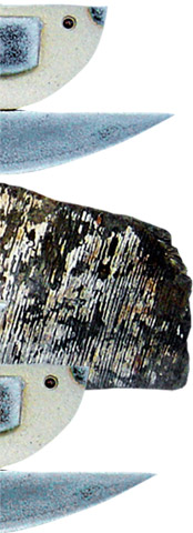 Jan Guest coastal art - sea birds